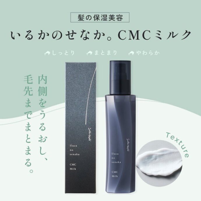 話題の【イルカの背中】をご紹介🐬🤍